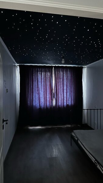 Colentina, Teiul Doamnei,