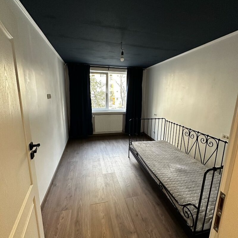 Colentina, Teiul Doamnei,