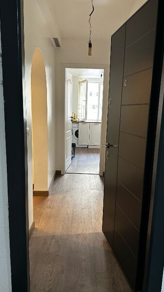 Colentina, Teiul Doamnei,