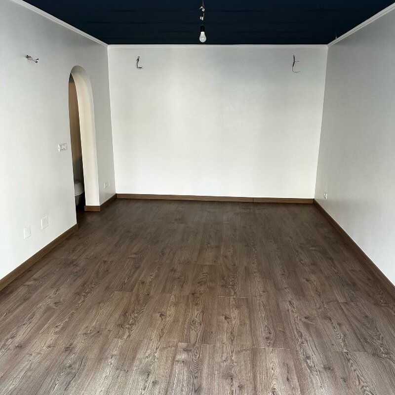 Colentina, Teiul Doamnei,