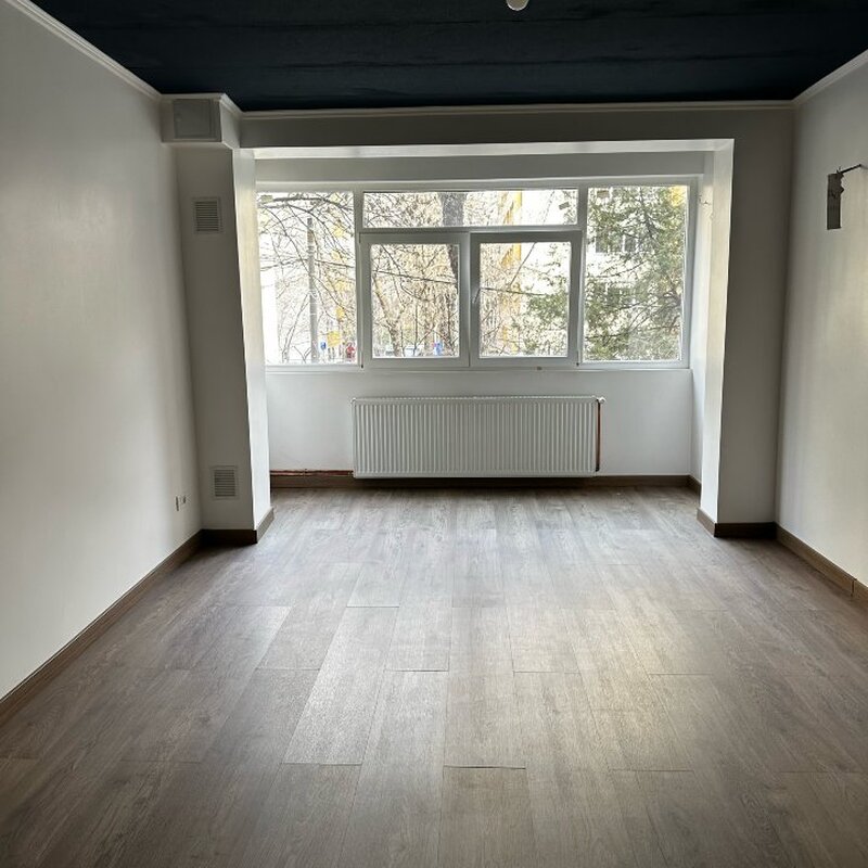 Colentina, Teiul Doamnei,